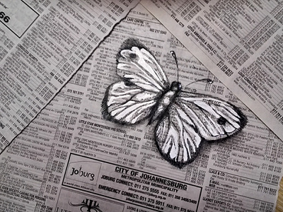 Vintage butterfly black white butterfly hand drawn ink newspaper sketchbook vintage