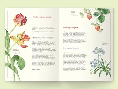 Art of Flower (book) book cover booklet books editing flower illustration illustration layout layoutdesign typogaphy visual design
