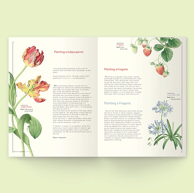 Art of Flower (book) book cover booklet books editing flower illustration illustration layout layoutdesign typogaphy visual design