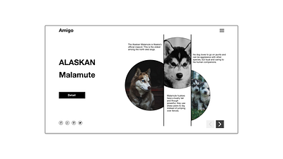 Husky Landing Page color design ui web