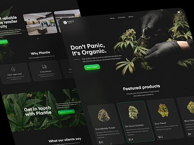 Cannabis E-Commerce Store Landing Page Design Concept cannabis cannabis packaging cbd concept design interface landing page leaf marihuana marijuana natural organic plants thc ui visual design ux web web design website weed