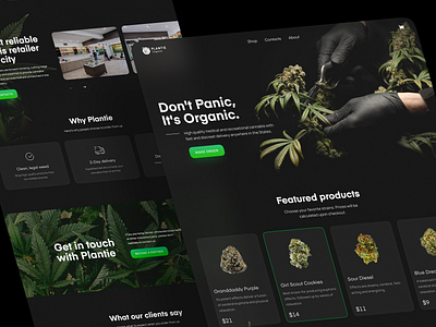 Cannabis E-Commerce Store Landing Page Design Concept cannabis cannabis packaging cbd concept design interface landing page leaf marihuana marijuana natural organic plants thc ui visual design ux web web design website weed