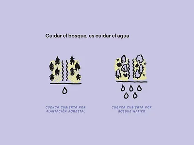 Restauración Ecológica - CAREP book design conservancy editorial design illustraion nature