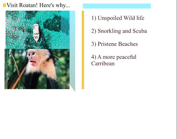 Example of Roatan Ad 5 9 2020