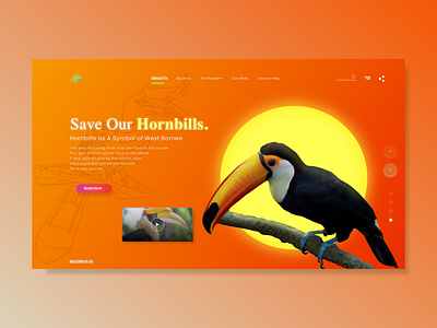 Landing Page Hornbills Bird animals animation bird borneo color design concept cool design creative studio desktop indonesia designer landingpage minimalism orange responsive design uidesign webdesign website