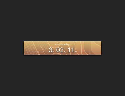 Daily UI 14 Countdown Timer banner banner ad countdown countdown timer countdowntimer daily dailyui design ui web banner web banner ad website