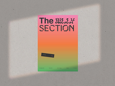 The Silly Section branding cover design gradient graphic design graphicdesign layout orange texture typography