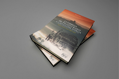 La Fabbrica del Palazzo Riario book book cover books