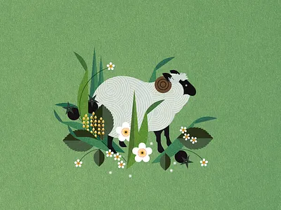 Sheep animal botanical digital floral folioart illustration nature sally caulwell vector