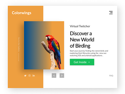 Colorwings birds figma figma design landing page landing page concept landing page design landing page ui macaw sanctuary zoo