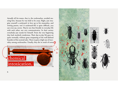 JACK OF HEARTS book cockroach illustraion