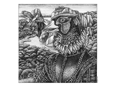 Birds birds blanckandwhite character art characterdesign comicart draw illustration illustration art ink wash