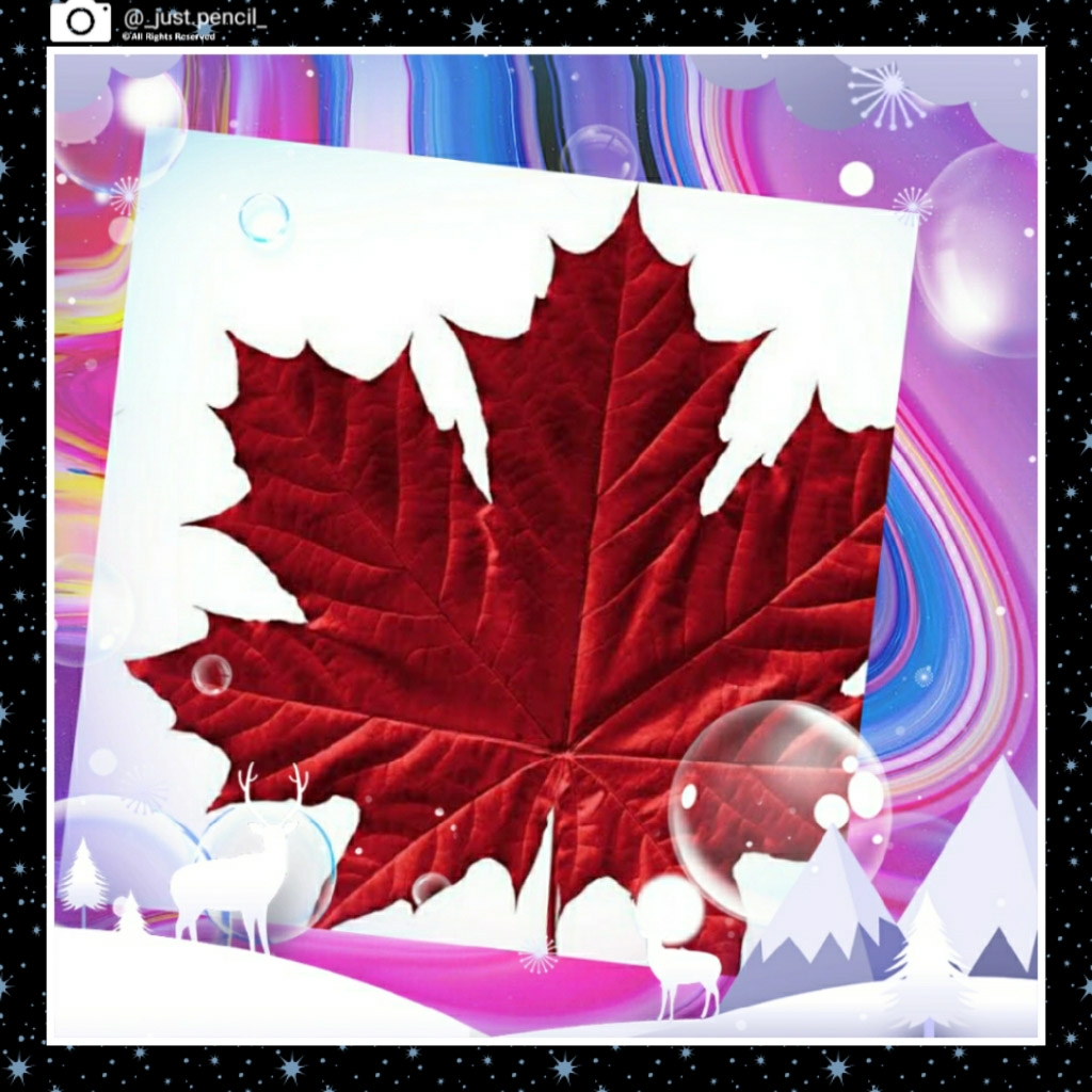 Maple Leaf bubbles colorful graphic design illustration logo mapleleaf mountains sachin sachin kumar mishra sachin mishra sachinbak transparent winter