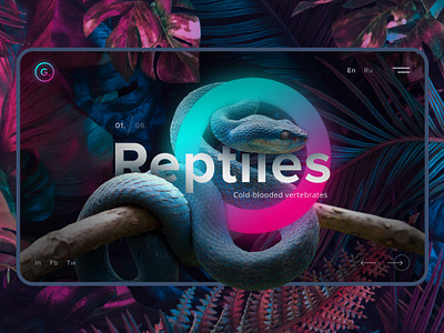 Reptiles Web Design concept concept design design figma photoshop ui ux web website