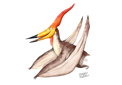Pterodactyl dinosaur illustration illustrator natural history pterodactyl watercolor watercolour watercolour illustration