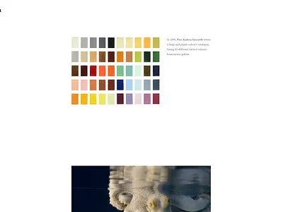 Website website