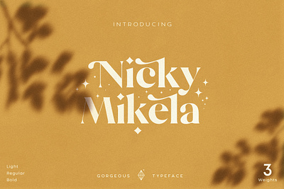 Mikela Font best fonts branding classic font download font download fonts elegant font font font design font family fonts graphic design lettering logo font logotype retro font serif font typeface typefaces vintage font vintage lettering