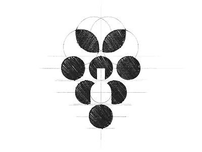 Favorito - Logo Design Sketch bottle brand identity branding clean design grape grid logo minimal procreate sketch wine winery