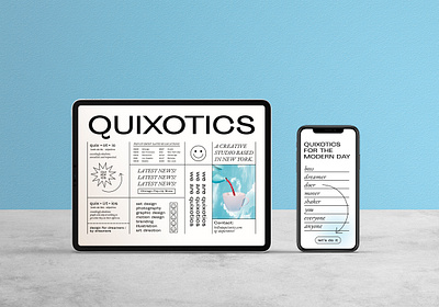 Quixotics brand brand identity branding design ui