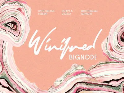 Winifred and Bignode branding design display font editorial design font font bundle font collection graphic lettering signature font typography