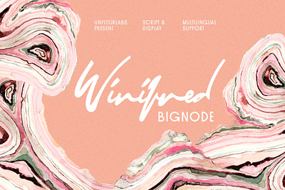 Winifred and Bignode branding design display font editorial design font font bundle font collection graphic lettering signature font typography