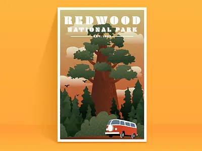 Redwood National Park Poster illustrator poster print redwoods texture