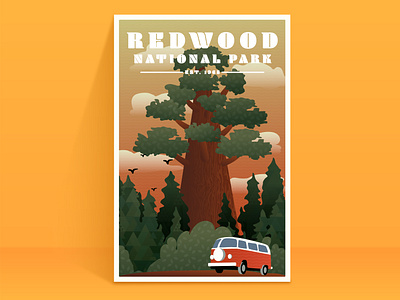 Redwood National Park Poster illustrator poster print redwoods texture
