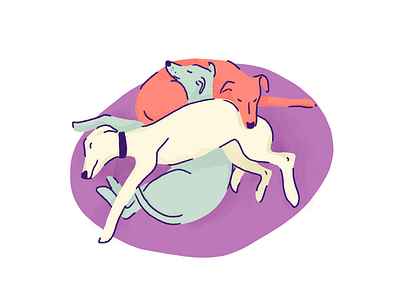 3 iggy dogs sleeping animal digital illustration dog illustration green iggy iggy dog illustration limited color scheme pet portraits pets teal