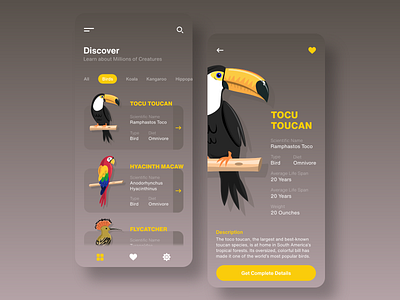 Creature App app branding clean ui design gradient graphic design illustration illustrations landing page minimal mobile ui modern trending ui design uiux ux design vector web design web designer yellow