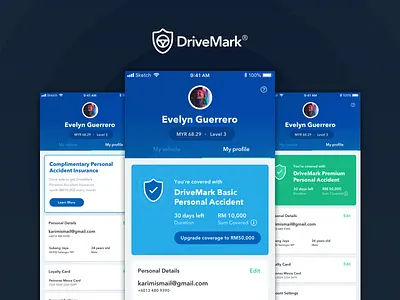 DriveMark - Profile States card insurance insurance company profile states