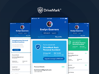 DriveMark - Profile States card insurance insurance company profile states