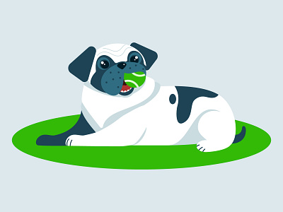 Illustration of pug boll dog flat green illustration pug vector