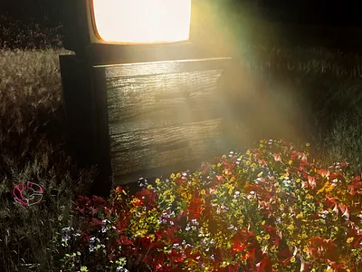 sun always shine on tv by tg 1 3d art cinema4d octane render photoshop