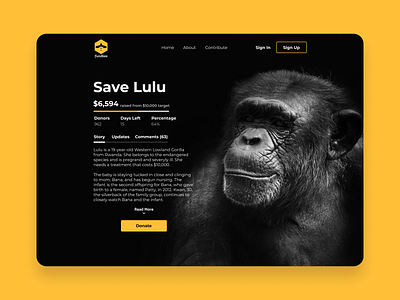 Daily UI 032 - Crowdfunding Campaign crowdfunding crowdfunding campaign daily ui daily ui 032 daily ui challenge dailyui dailyuichallenge design ui ui ux ui design ux uxui web