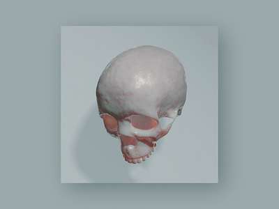 Skull 3d 3d animation 3d art 3d artist 3d artwork adobe dimension arnold arnoldrender blender blender 3d blender3d blender3dart blendercycles c4d cinema 4d cycles cyclesrender eevee render