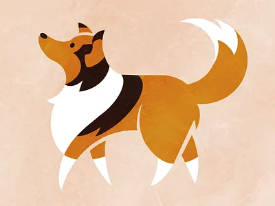 Shetland Sheepdog 2d animal art collie cute design dog flat fluffy illustration logo minimalistic pets procreate puppy sharp sheepdog sheltie shetland simple