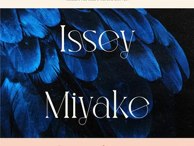 Legion - Ligature Display Serif Font advertising art clean display font display fonts display serif font feminine font font design fonts collection ligature ligature font luxury minimal professional serif font serif fonts trendy type typography