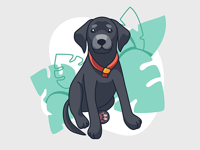 Dog Illustration animal art character cute cute animal cute dog dog dog illustration illustration labrador labrador illustration leaf leafs minimal puppy vector