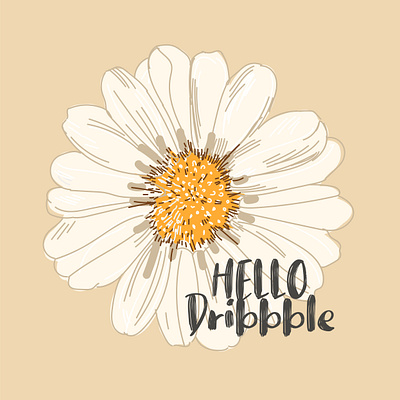 Hello Dribbble. Camomile on an orange background camomile hellodribbble лепесток оранжевый штрих