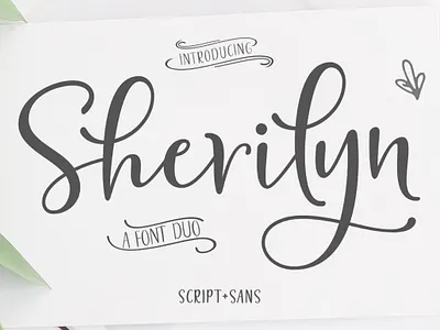 Sherilyn Script Font DUO branding branding design calligraphy calligraphy and lettering artist calligraphy font card lovely font modern design wedding wedding card