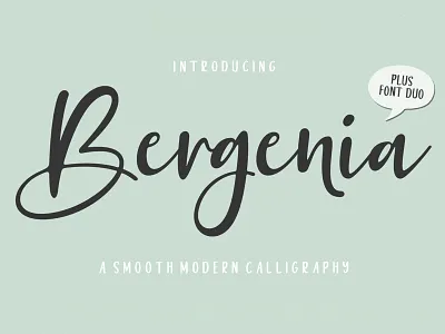 Bergenia Script FONT DUO branding design calligraphy calligraphy font calligraphy logo card casual script design lovely font wedding wedding card