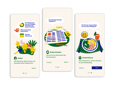 Ackerpause onboarding screens design farming food gardening illustration illustrator nature nutrition onboarding onboarding screen plant receipts screen ux ux design vector vegetables