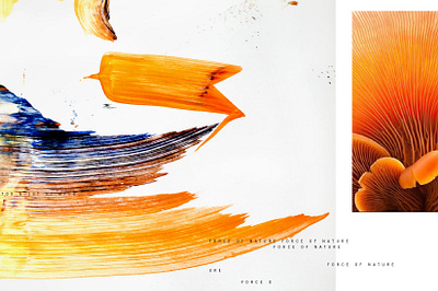 Afterglow abstract art branding design nature paint