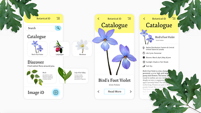 Botanical iD Home app botany citizen clean datacapture flora minimal mobile plants science ui ux