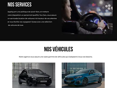 WEB SITE YOU CARS design ui ux web
