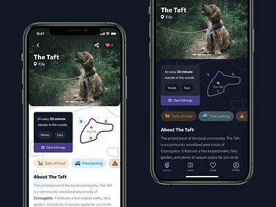 🐶Wander iOS dark dark mode dog icons ios light light mode map minimal mobile mobile ui product design ui user experience user interface ux