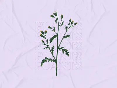 Plants design illustration nature plants type