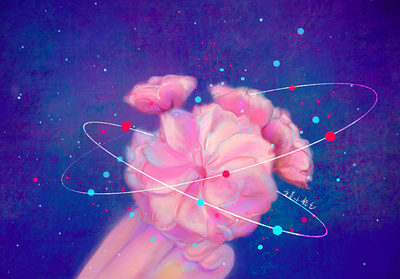 sakura flower illustration sakura