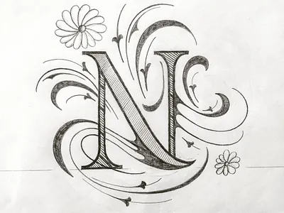 N flourishes illustration lettering