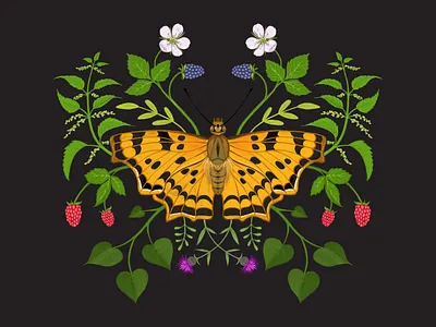 BUTTERFLY blackberry butterfly digital art drawing illustration nature wood